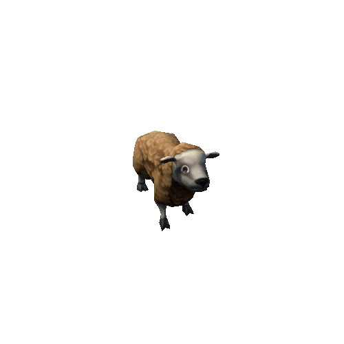 sheep_06