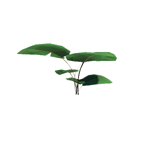 Jungle_LargeLeaf_B