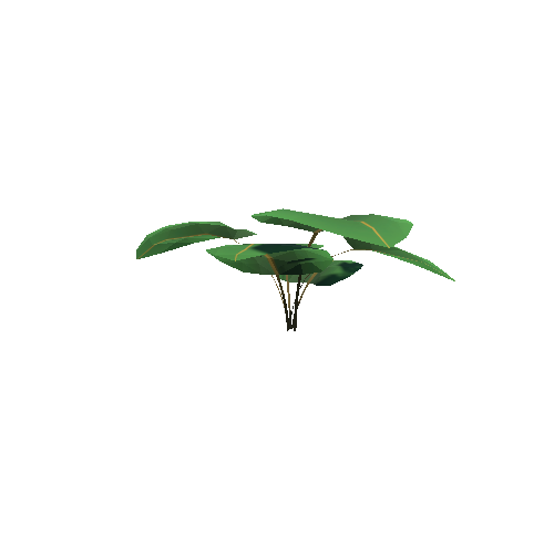 Jungle_LargeLeaf_C