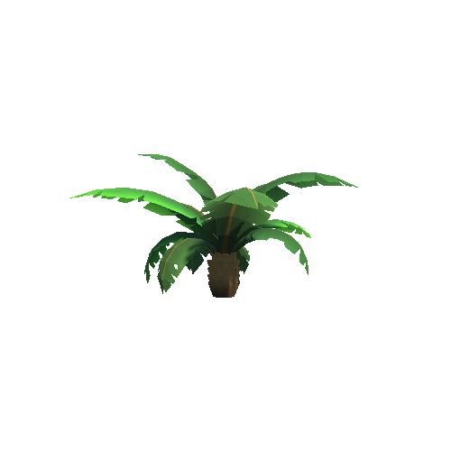 Jungle_Palm_Stubby_A