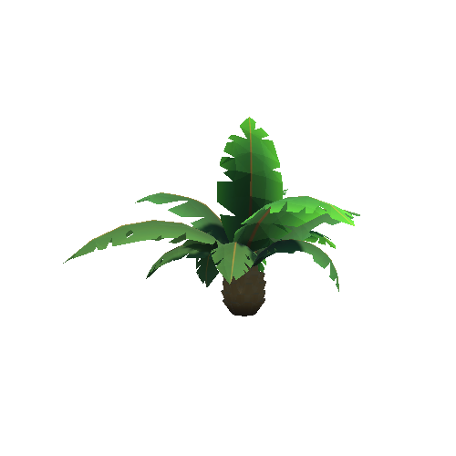 Jungle_Palm_Stubby_B