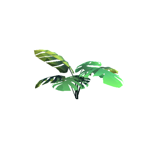 Jungle_RoundLeaf_B