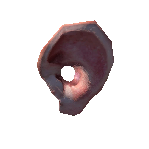 Ear_2_low