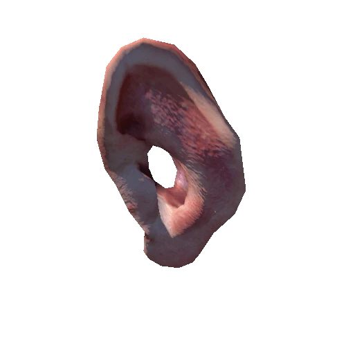 Ear_5