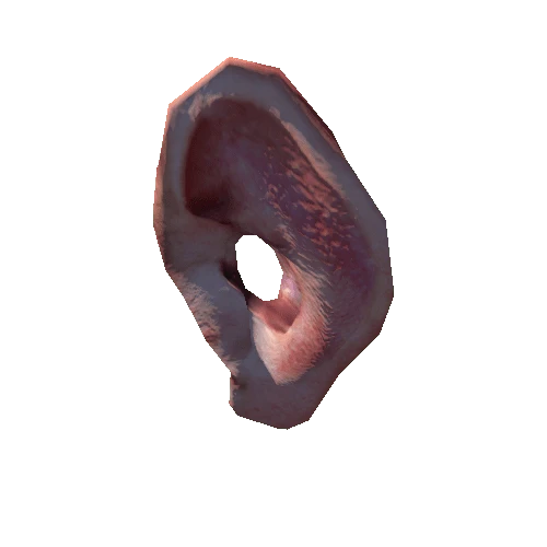 Ear_5_low