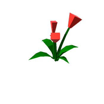 Flowers_Red_8