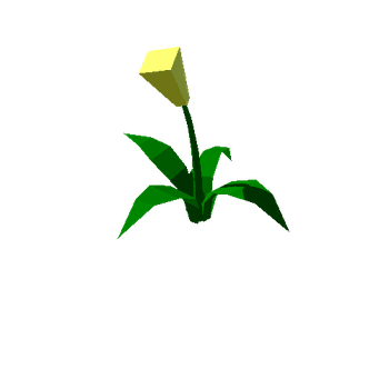 Flowers_Yellow_4