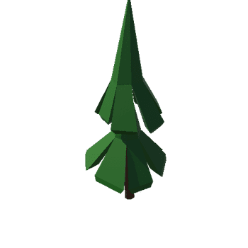 Tree_Fir_1