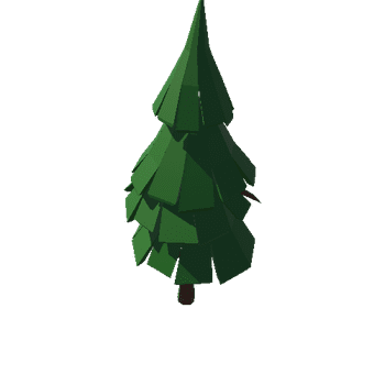 Tree_Fir_5