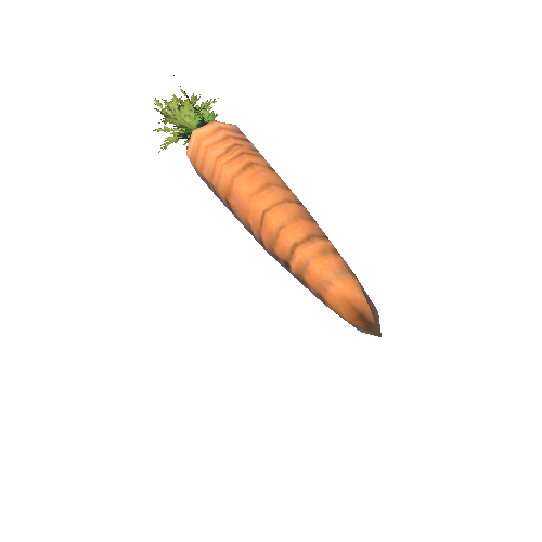 Carrot_1B1_1