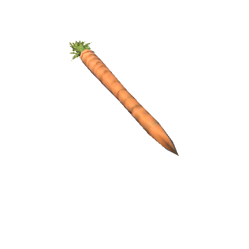 Carrot_1B2
