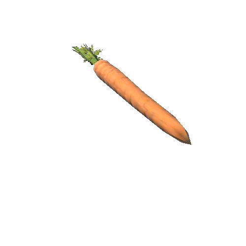 Carrot_1B3