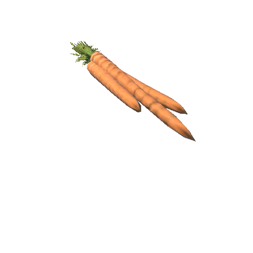 Carrot_Bunch_1A1_1