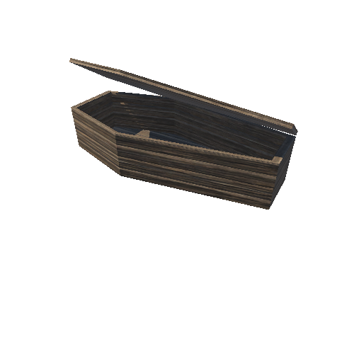 Coffin_Open_1A1