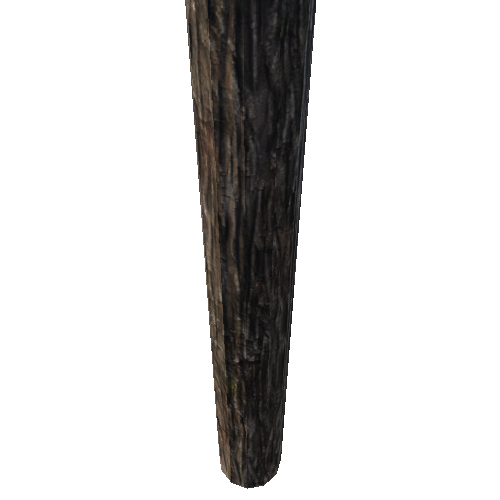 Log_Standing_1B1_1