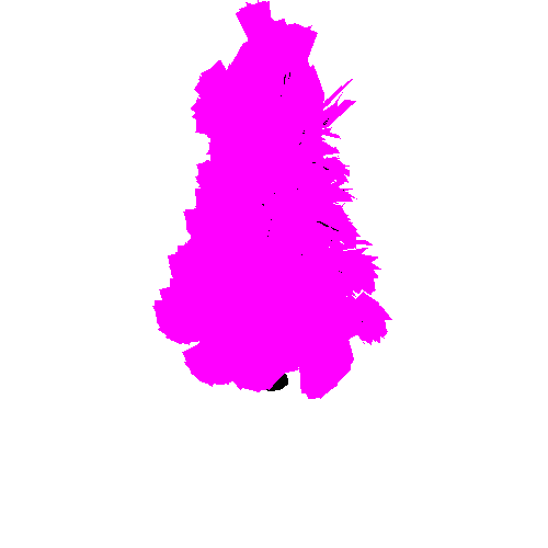 Pine_Tree_2B2