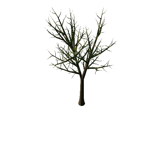 Tree_1A1