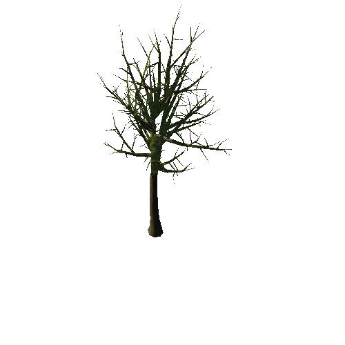 Tree_1A2