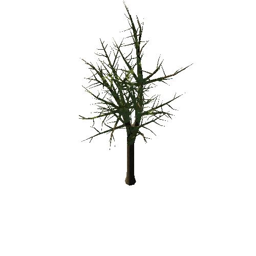 Tree_1B1