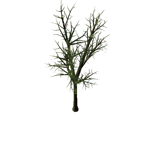 Tree_1B2