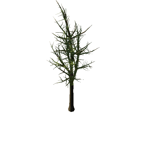 Tree_1B3