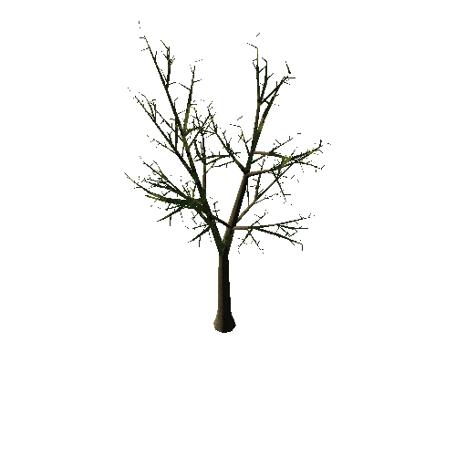 Tree_1C2