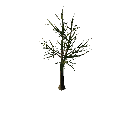 Tree_1C3