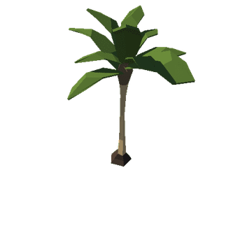 island_palm_1