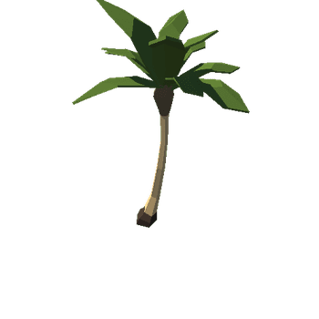 island_palm_2