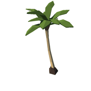 island_palm_3