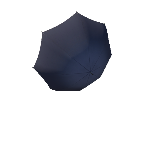 Umbrella_C_open