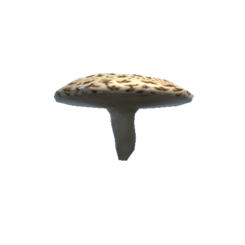 Mushroom_4_0