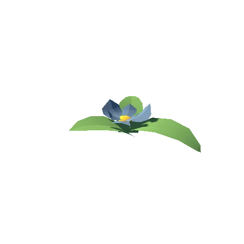 Plant_003