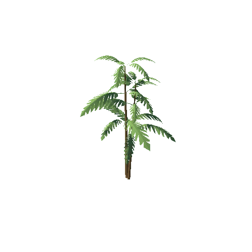 Tree_002