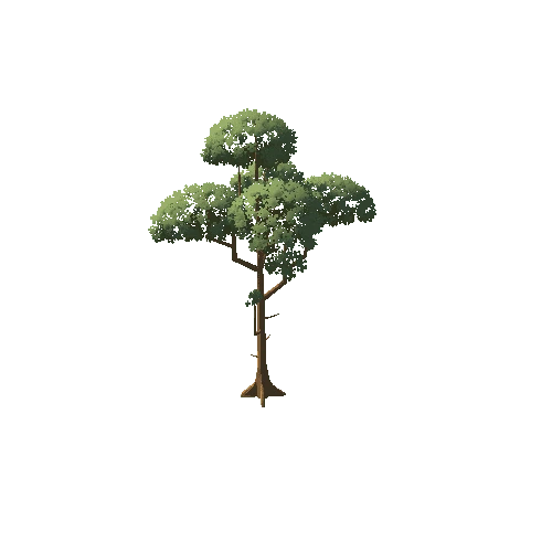 Tree_004