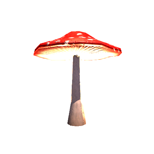 Mushroom_01