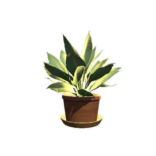 Plant_3