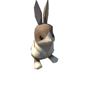 model_Rabbit_07_Handpainted