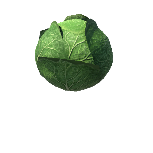 cabbage_LOD1