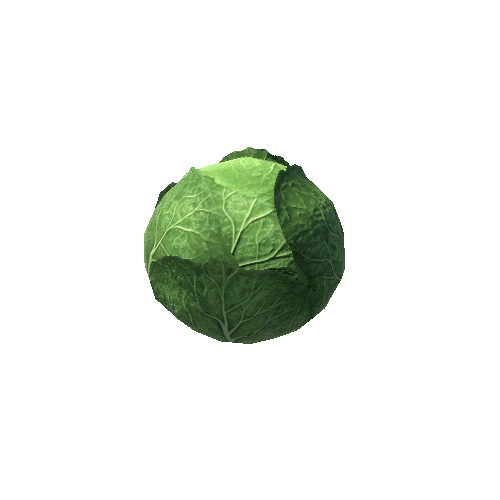 cabbage_LOD2