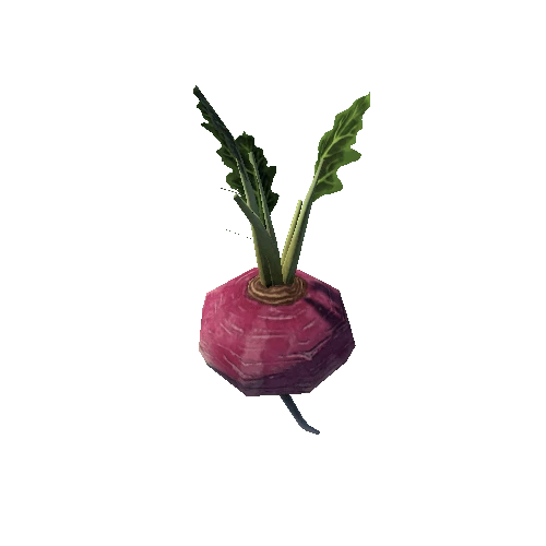 turnip_LOD2