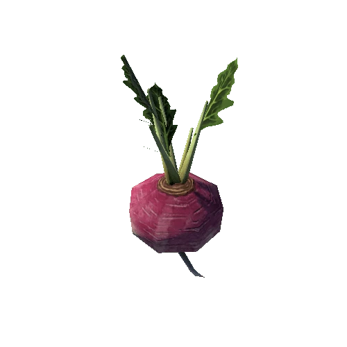 turnip_LOD3