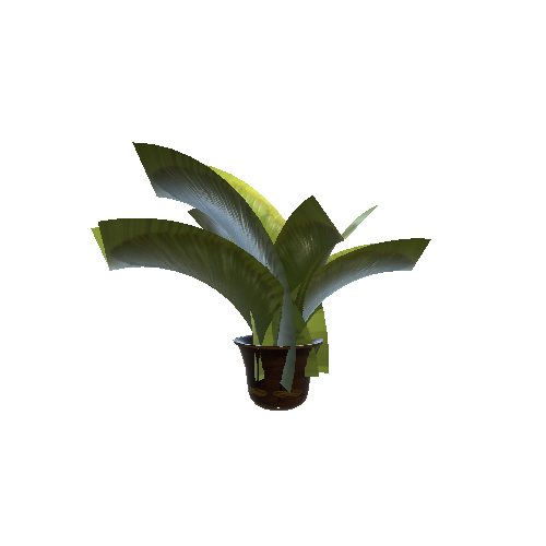 plant