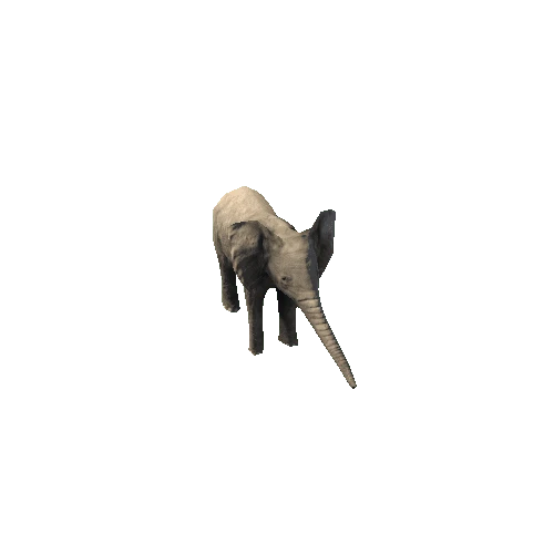 Baby_Elephant_FV_RM_SLP