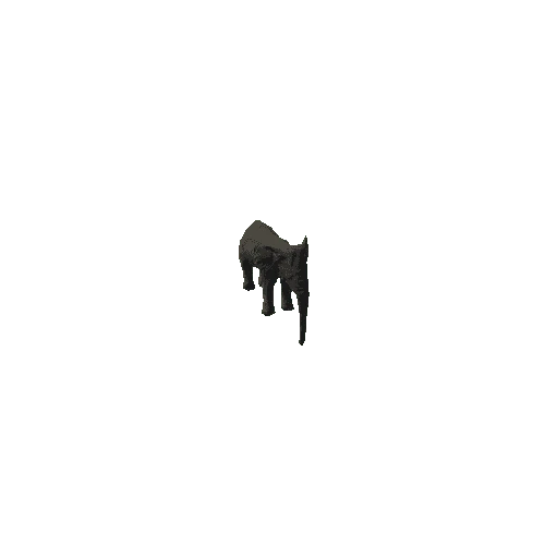 elephant_female_fv_ip_mat4_SLP