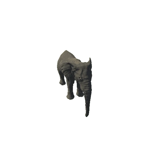 elephant_female_fv_rm_mat3_LP