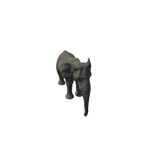 elephant_female_fv_rm_mat3_SHP