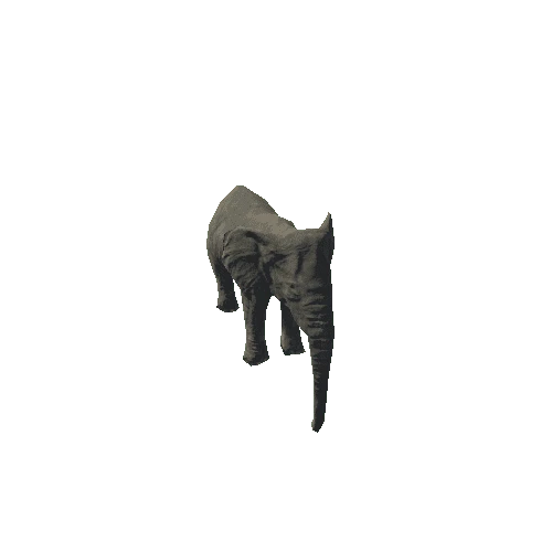 elephant_female_fv_rm_mat3_SLP