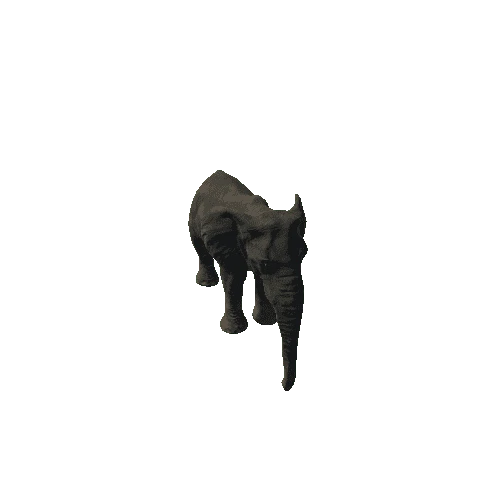 elephant_female_fv_rm_mat4_HP