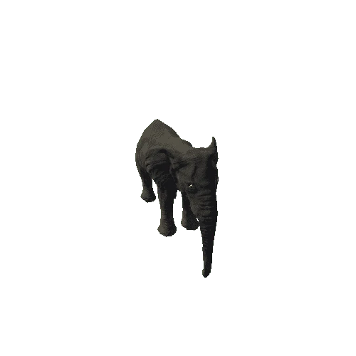 elephant_female_fv_rm_mat4_LP